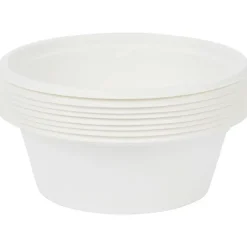 Bagasse Kommen