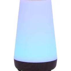 Deluxa Touch Lamp