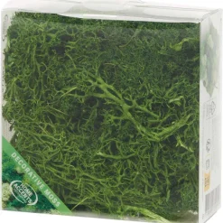 Home Accents Decoratief Mos