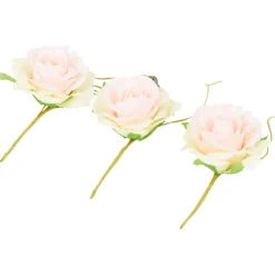 Home Accents Decoratierozen