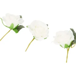 Home Accents Decoratierozen