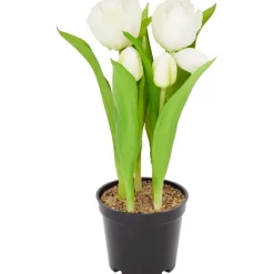 Home Accents Kunsttulpen In Pot