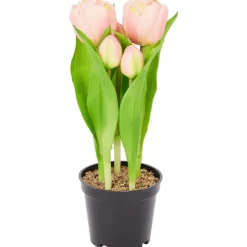 Home Accents Kunsttulpen In Pot