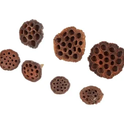 Home Accents Natural Droogmix