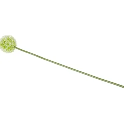 Kunstallium Op Steel