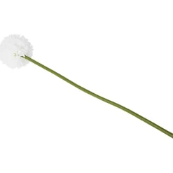 Kunstallium Op Steel