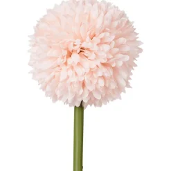 Kunstallium Op Steel