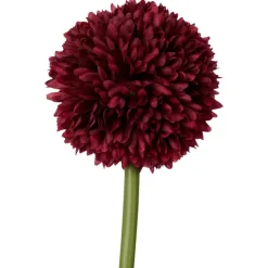 Kunstallium Op Steel