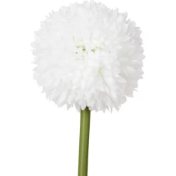 Kunstallium Op Steel