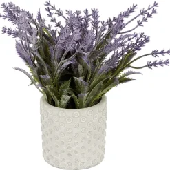 Kunstlavendel In Pot