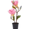 Kunstmagnolia In Pot