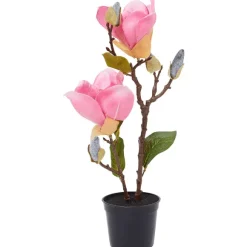 Kunstmagnolia In Pot