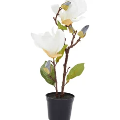 Kunstmagnolia In Pot