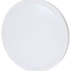 Lsc Smart Connect Plafondlamp