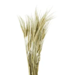 Nederlandse Droog Kunstbloemen