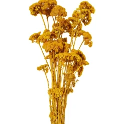 Nederlandse Droog Kunstbloemen