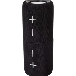 Roseland Dual-Split Speaker