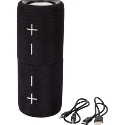 Roseland Dual-Split Speaker