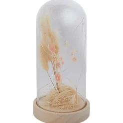 Stolp Met Droogbloemen En Licht