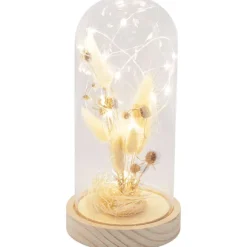 Stolp Met Droogbloemen En Licht