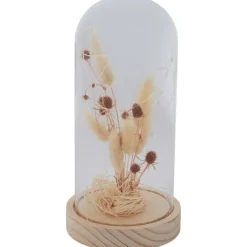 Stolp Met Droogbloemen En Licht