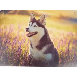 Teken- En Knutselplacemat