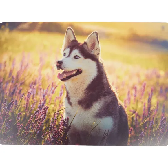 Teken- En Knutselplacemat