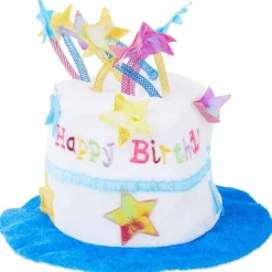 Verjaardagshoed Met Muziek