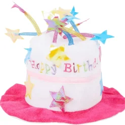 Verjaardagshoed Met Muziek